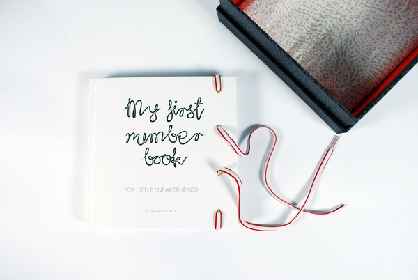 Air Jordan Counting Book 25