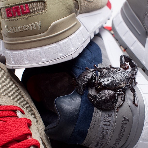 Bau The Distinct Life Saucony Shadow 5000 Teaser 2