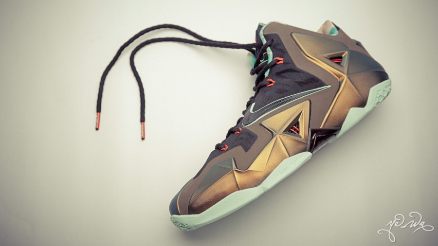 Nike Lebron 11 Kings Pride 35