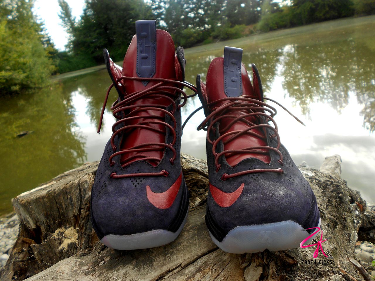 Plum Lebron Ext Customs 8