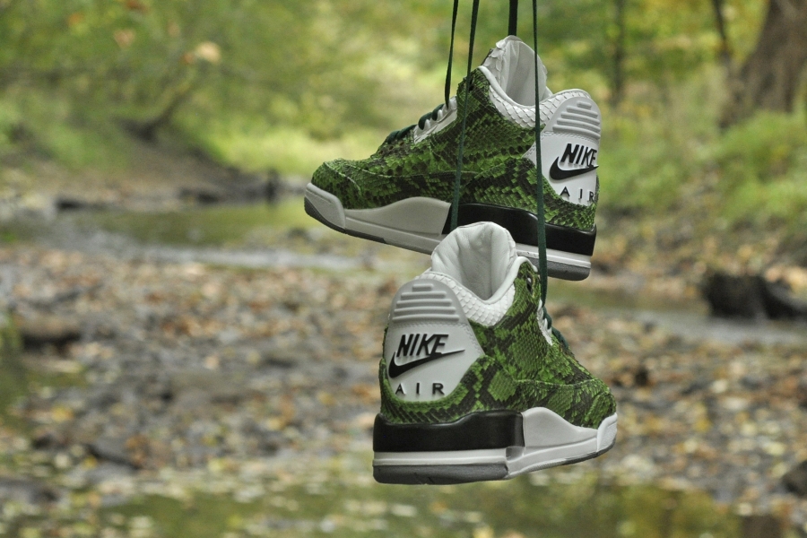 Air Jordan 3 Green Python 08