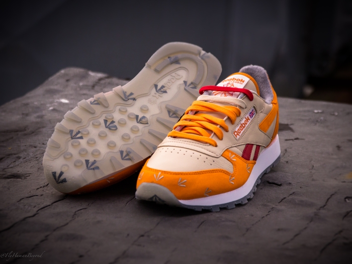 Gary Warnett Reebok Classics 05