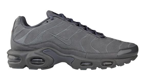 Nike Air Max Plus Tn Tonal Grey 02