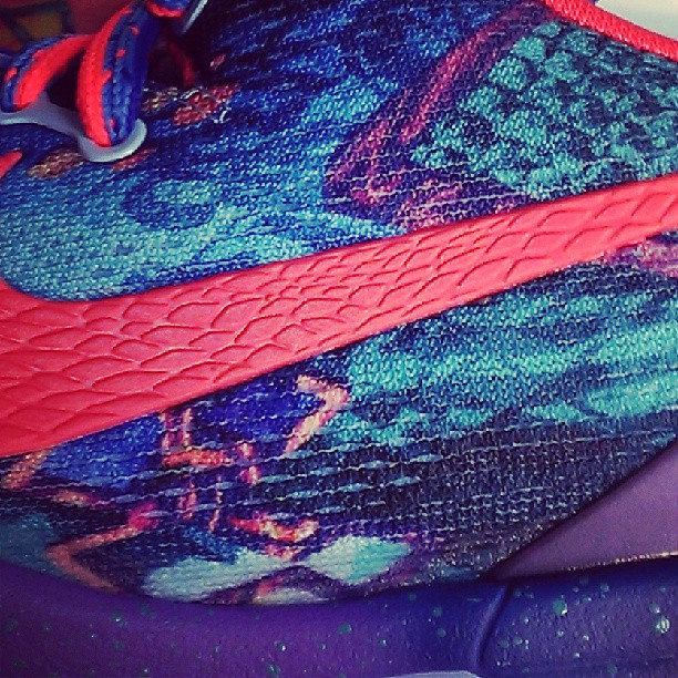 Nike Kobe 8 What The Kobe 4