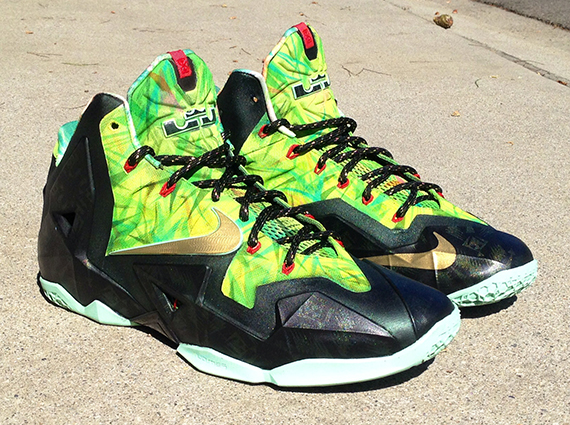 Nike Lebron 11 Championship Customs