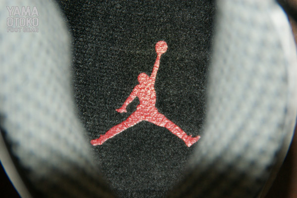 Steel Air Jordan 10 01