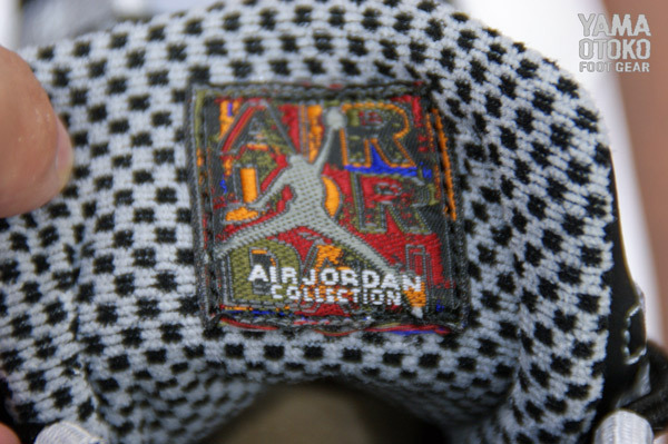 Steel Air Jordan 10 02
