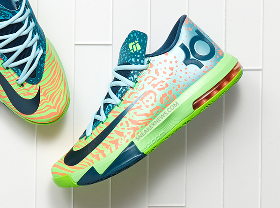 Kd 6 Liger 1