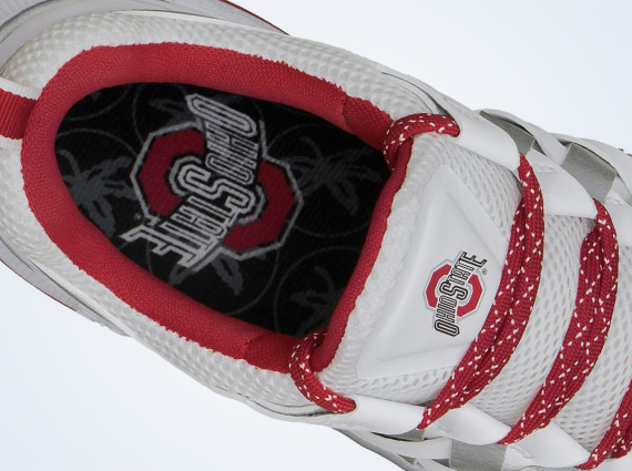 Nike Free Trainer 5.0 "Ohio State"