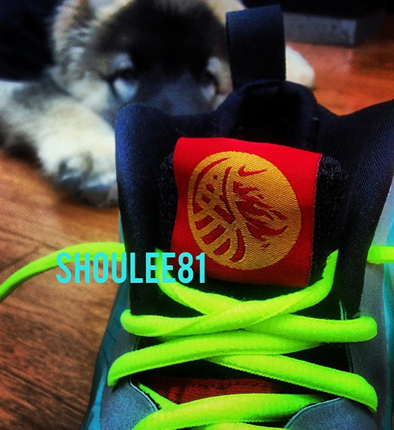 Year Of The Horse Nike Flightposite Exposed 2