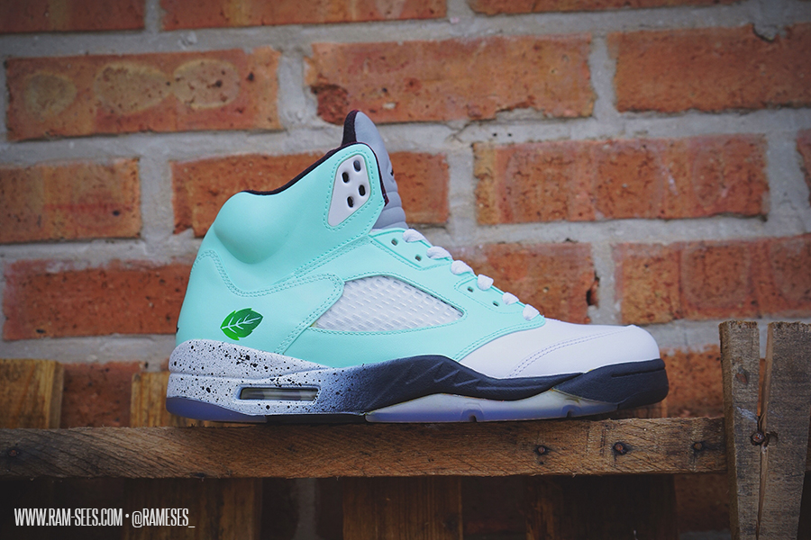 Air Jordan Mint Customs 10