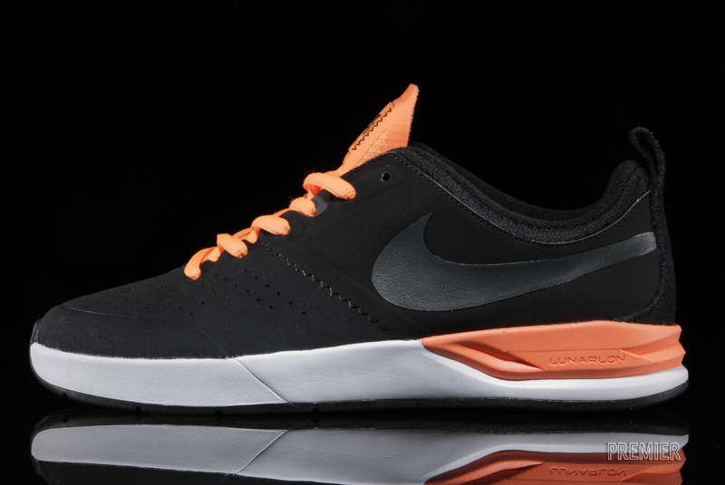 Nike Sb January 2014 Releases 03