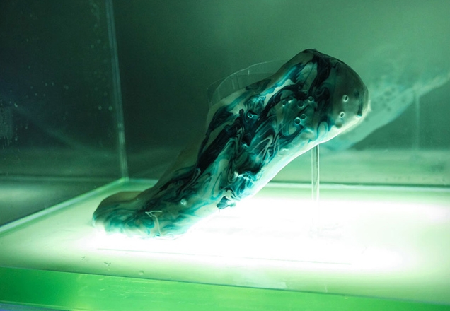 Regenerating Sneakers