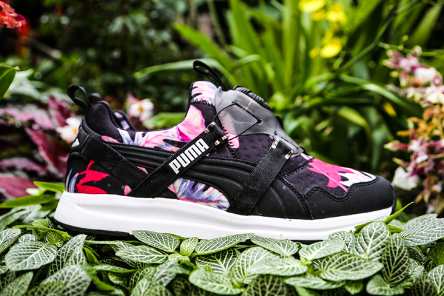 Puma Disc Tropicalia Pack 06