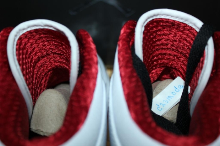 History Of Flight Jordan 1 10