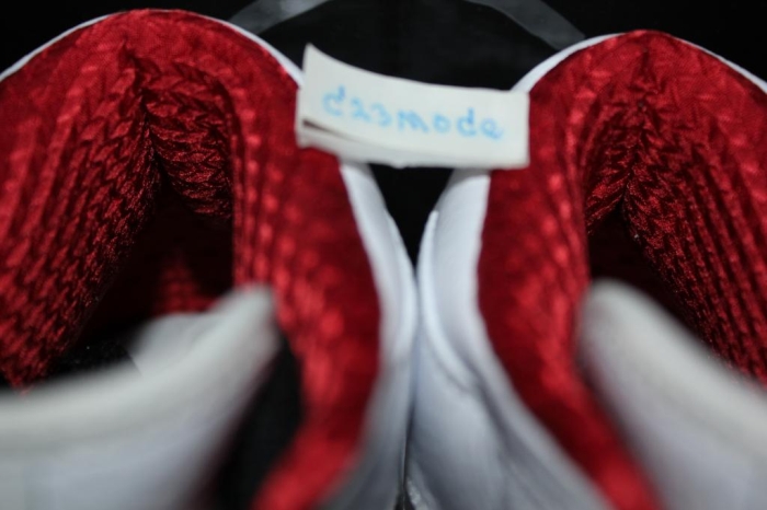 History Of Flight Jordan 1 14