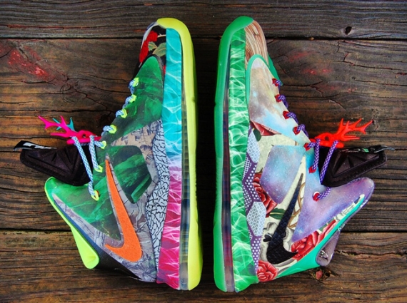 Nike LeBron X “What the Fehc” Customs by Gourmet Kickz