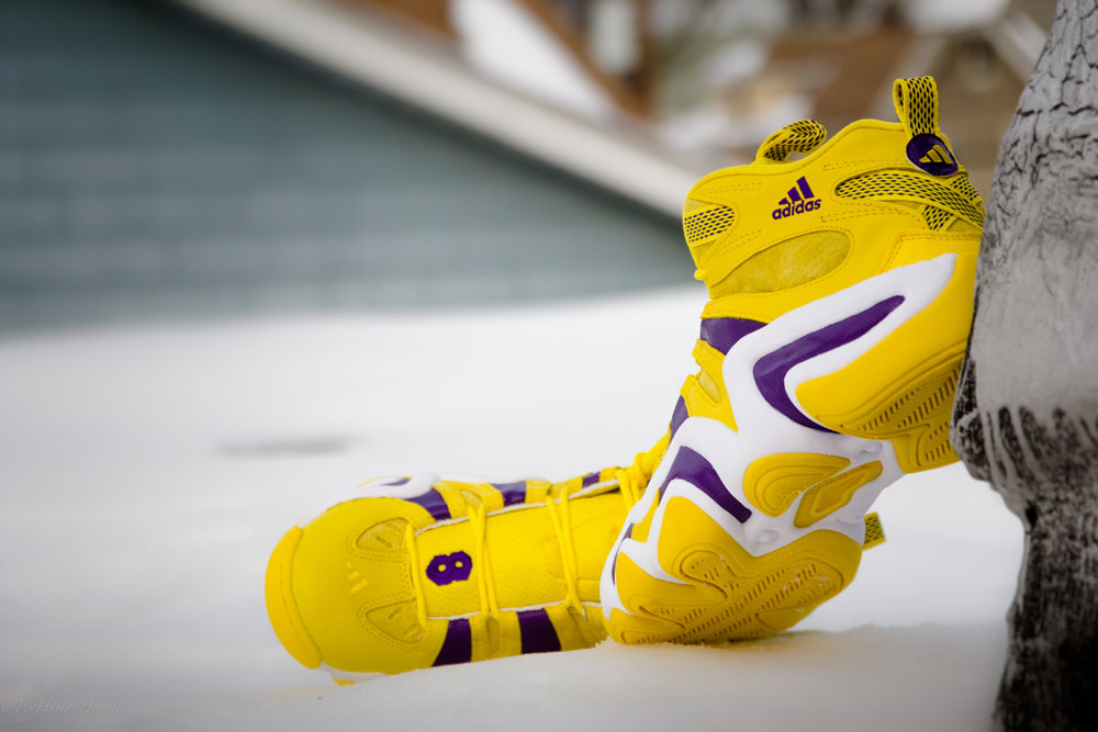 Adidas Crazy 8 Lakers 05