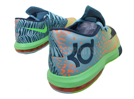 Kd 6 Liger Ebay 3