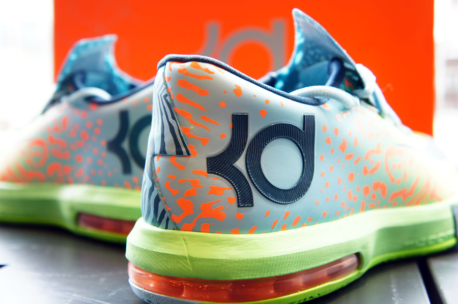 Liger Kd 6 3