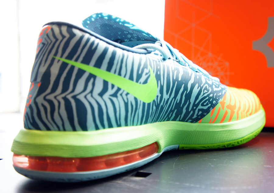 Liger Kd 6 5