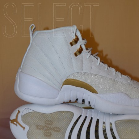 A Detailed Look at the "OVO" Air Jordan 12