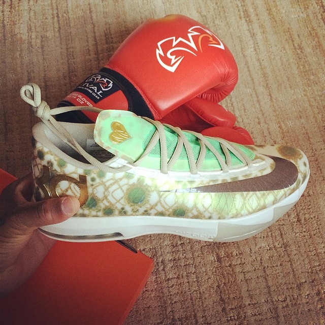 Nike Kd 6 Wanda Pratt 01