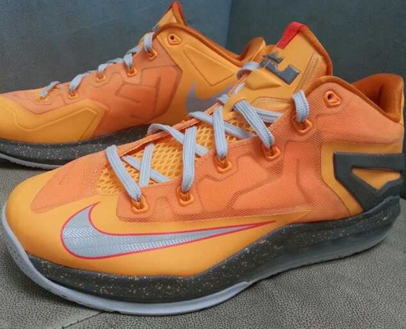 “Floridians” Nike LeBron 11 Low