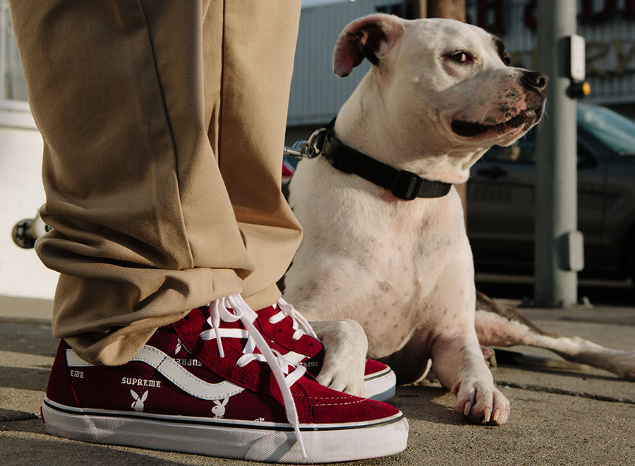 Playboy Vans1