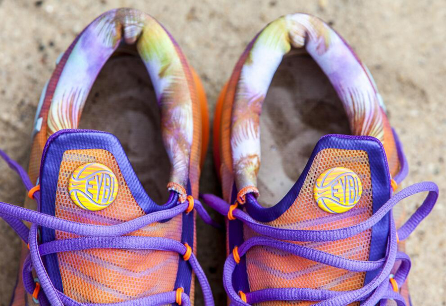 Kd 6 Elite Eybl