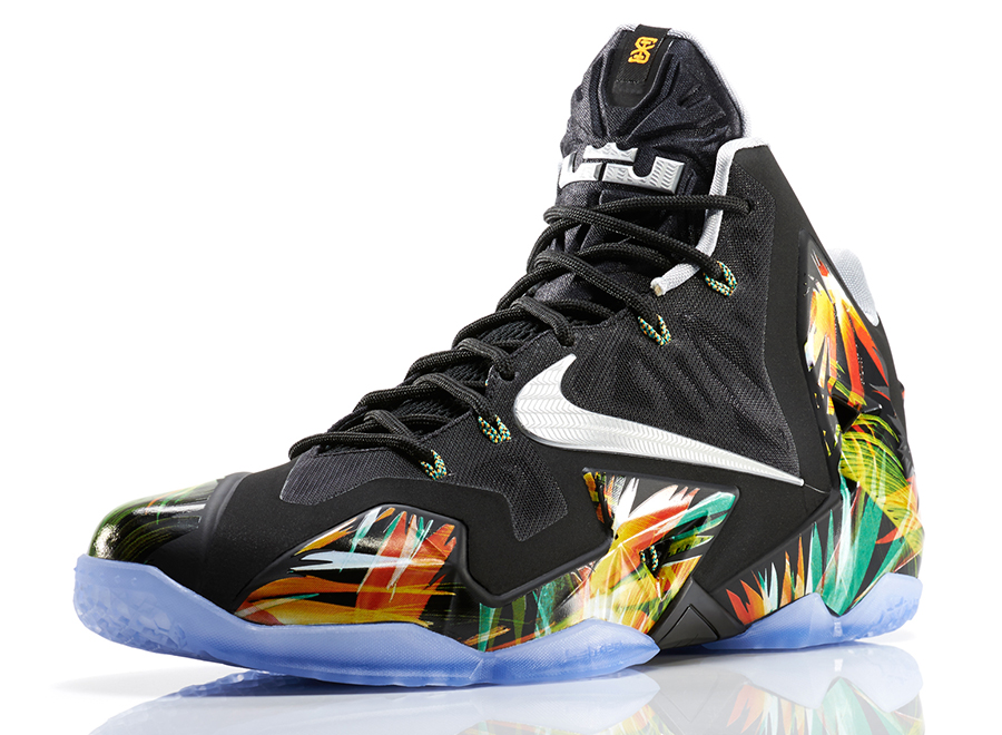 Lebron Everglades