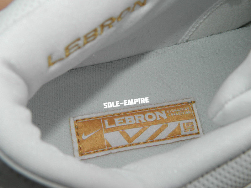 Nike Lebron 2 Low White Gum 03