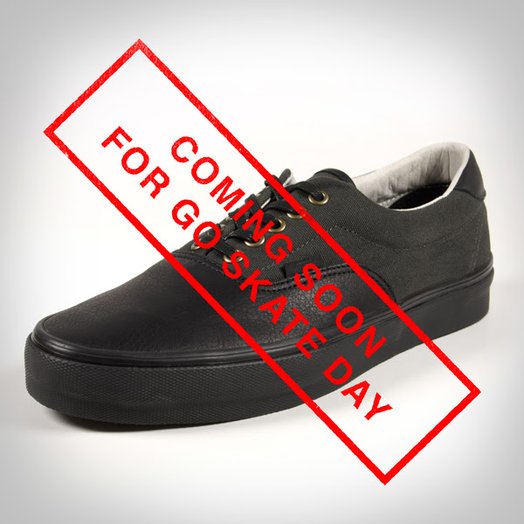 Ace Hotel Vans Era 04