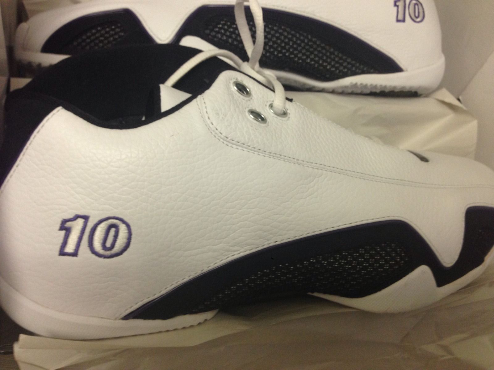 Air Jordan 21 Low Mike Bibby Kings Pe 03