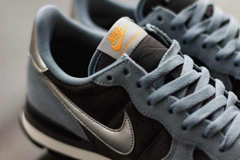 Nike Internationalist Medium Ash Metallic Silver 05