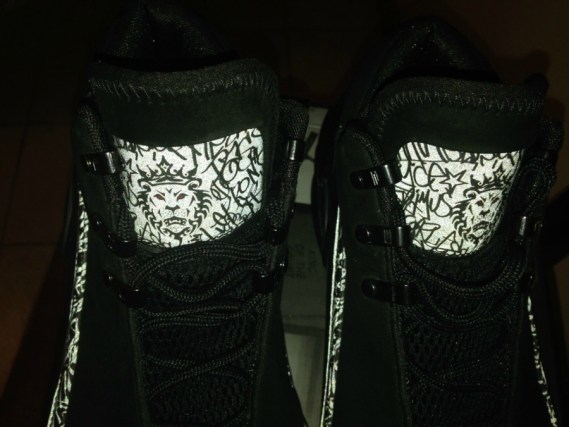 Nike Lebron 6 Power Max 05