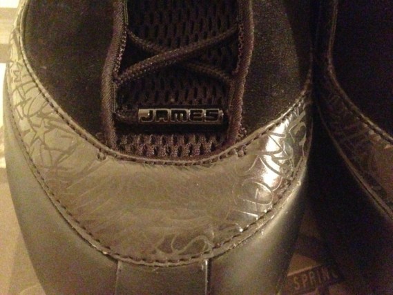 Nike Lebron 6 Power Max 06