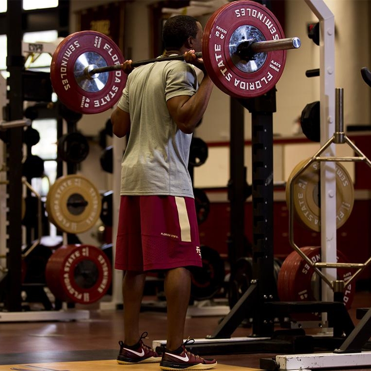 Nike Lunar Tr1 Fsu Seminoles