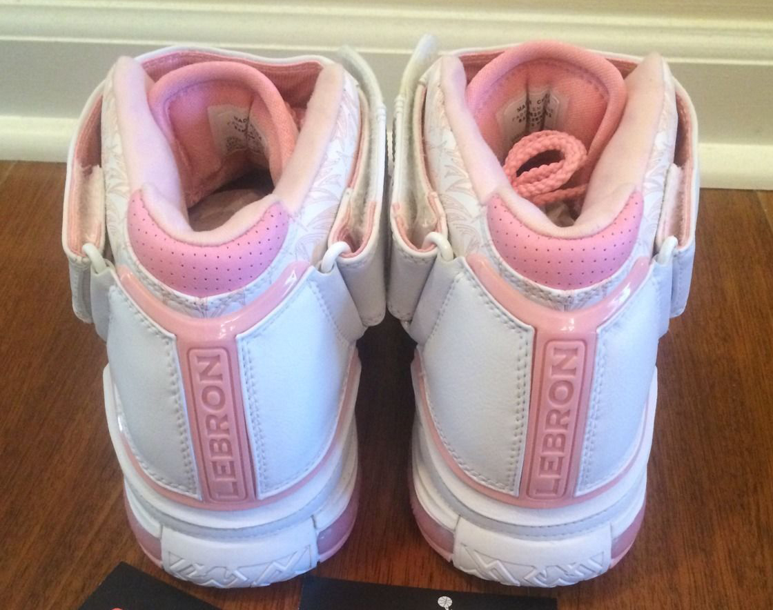 Nike Zoom Lebron 2 Gloria Pe Ebay 06