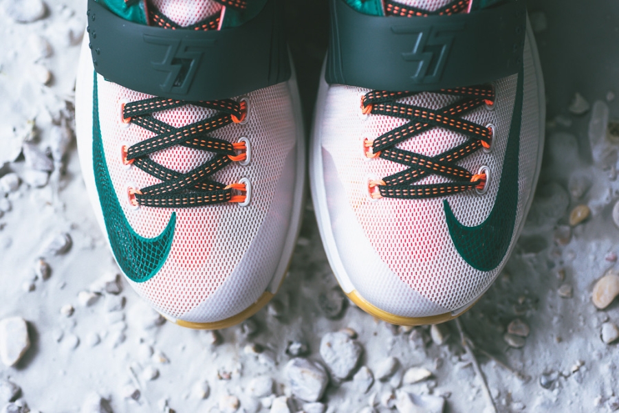 Easy Money Kd 7 06