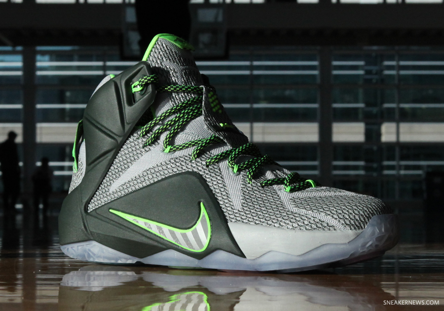 Nike Lebron 12 Dunk Force 2