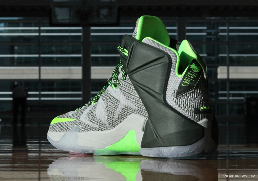 Nike Lebron 12 Dunk Force 6