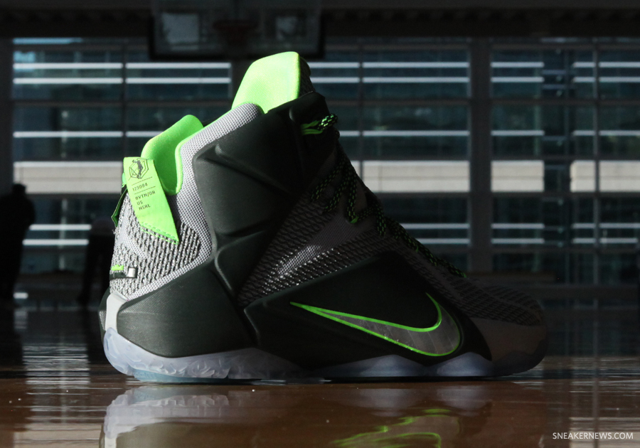 Nike Lebron 12 Dunk Force 8
