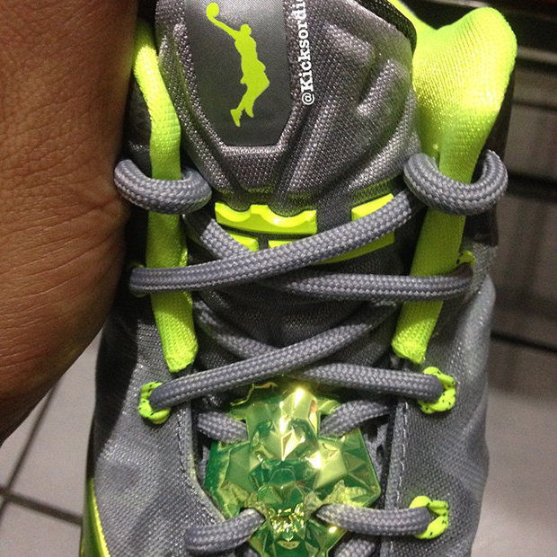 Lebron 11 Dunkman Unreleased Sample 2