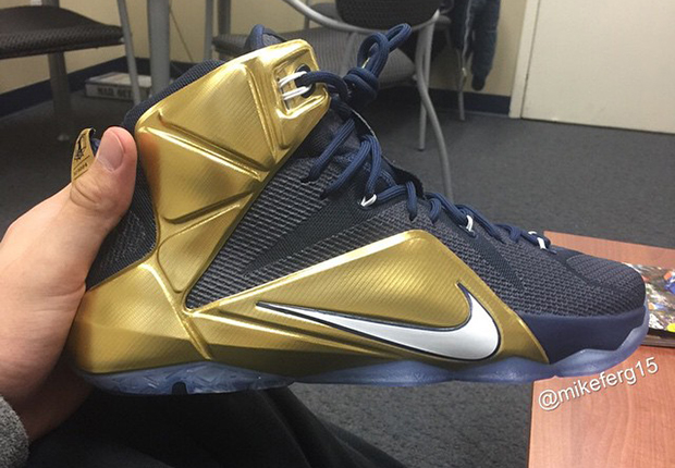 Lebron 12 Akron Pe