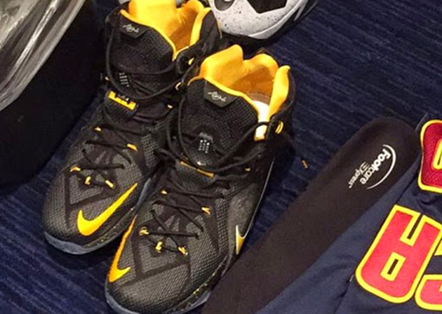 Lebron James Custom Orthotics Lebron 12