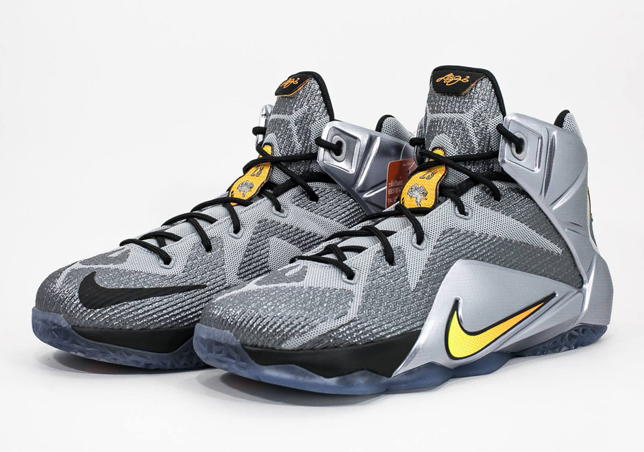 Lebron 12 Flight Gs 1