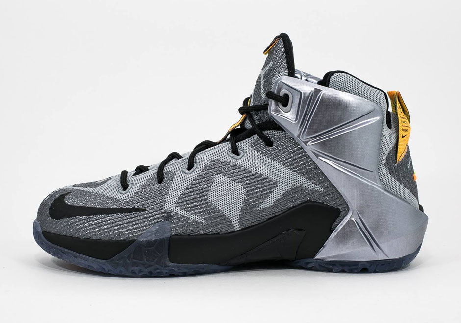 Lebron 12 Flight Gs 4