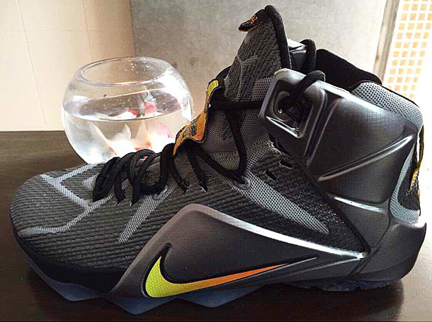 Nike Lebron 12 Flight Themed Sample 2