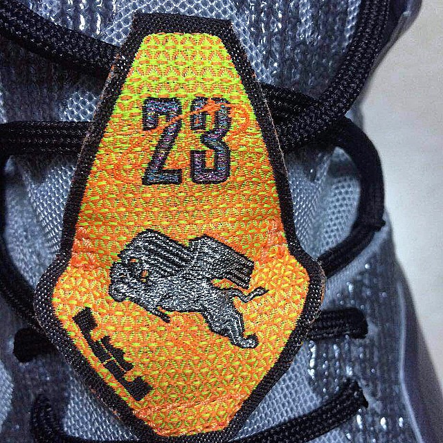 Nike Lebron 12 Flight Themed Sample 4